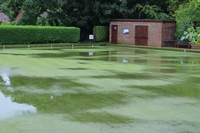 Our flooded green!